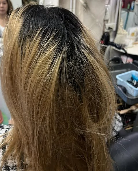 Ash Tone Color Correction in Bangkok | Oilly Hair Salon