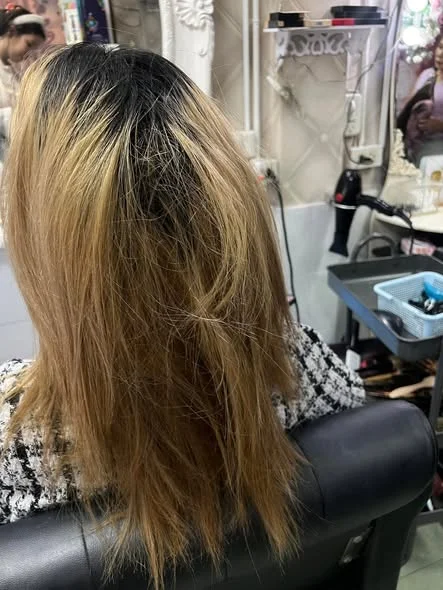 Ash Tone Color Correction in Bangkok | Oilly Hair Salon