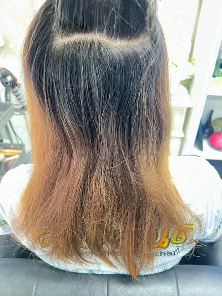 Golden Brown Hair Color & Grey Blending in Bangkok