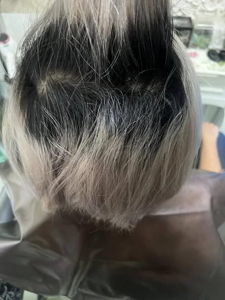 Seamless Grey Blending in Bangkok | Oilly Hair Salon