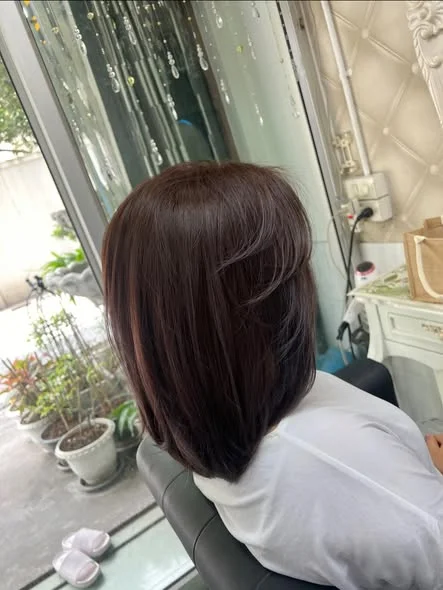 Youthful Hair Color & Cut at Oilly Hair Salon