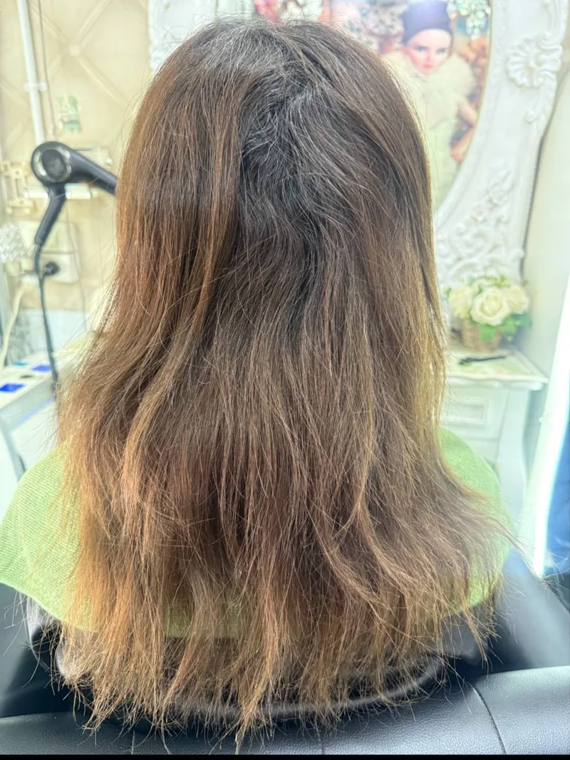 Oilly Hair Salon Bangkok 受损发修护前 - 漂浅后偏铜色的发尾、深色遮盖白发新生发，以及干燥受损的发质