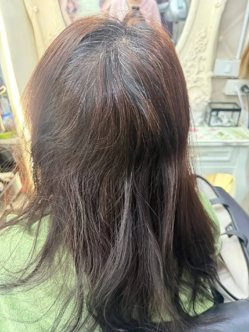 曼谷 Oilly Hair Salon 白发柔焦染前 - 深棕长发散落白发