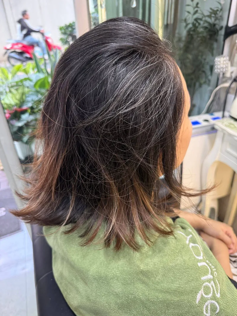 曼谷 Oilly Hair Salon 白发柔焦染前 - 头顶白发与褪色焦糖挑染发尾