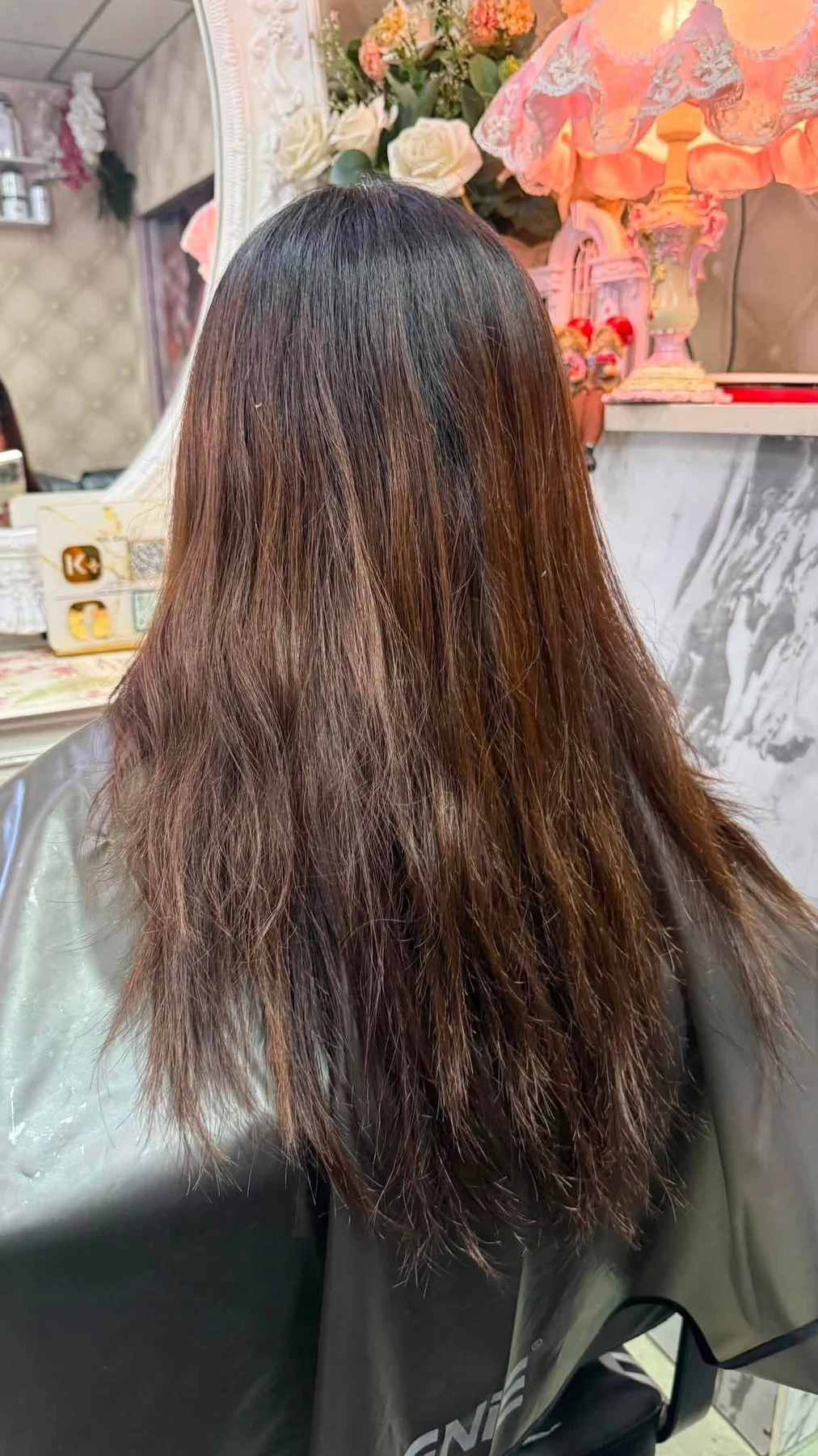Before dark ash highlights showing natural black regrowth and warm brown previously colored lengths