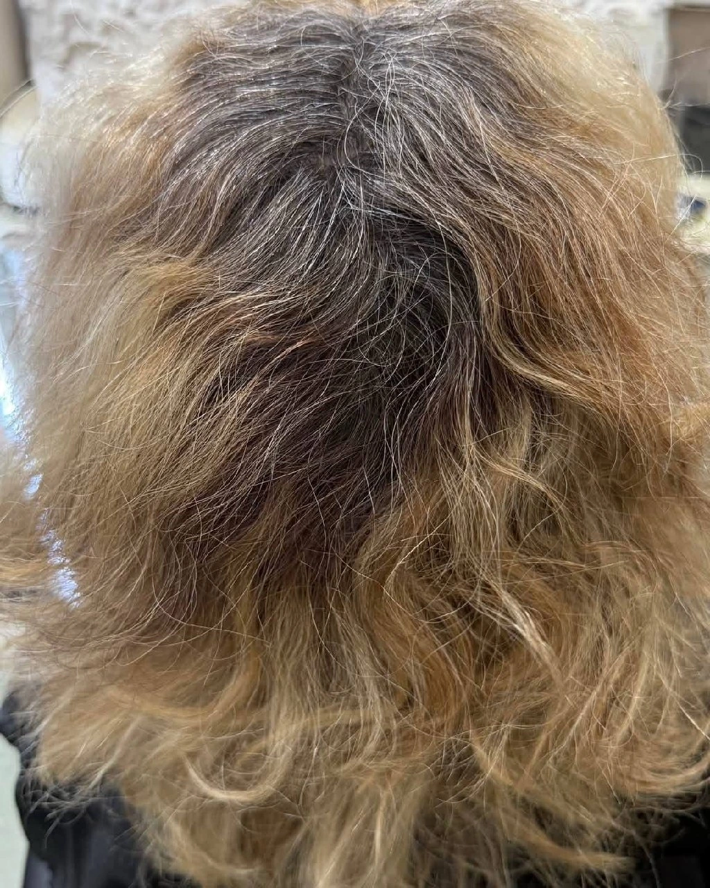 منظر جانبي قريب للجذور البيضاء والرمادية الطبيعية قبل خصل Babylights لدى Oilly Hair Salon بانكوك